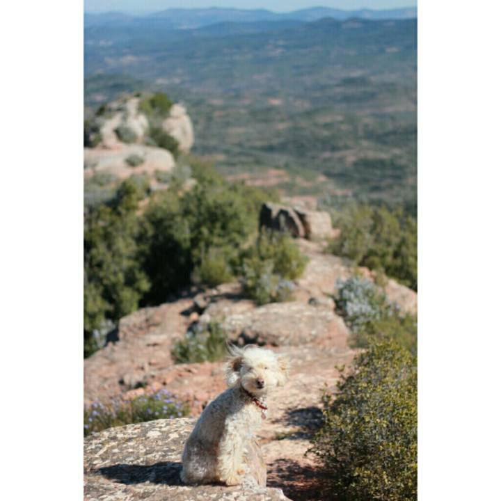 37ec0527 8851 4996 81e5 2ace85f7578f 1553111000866