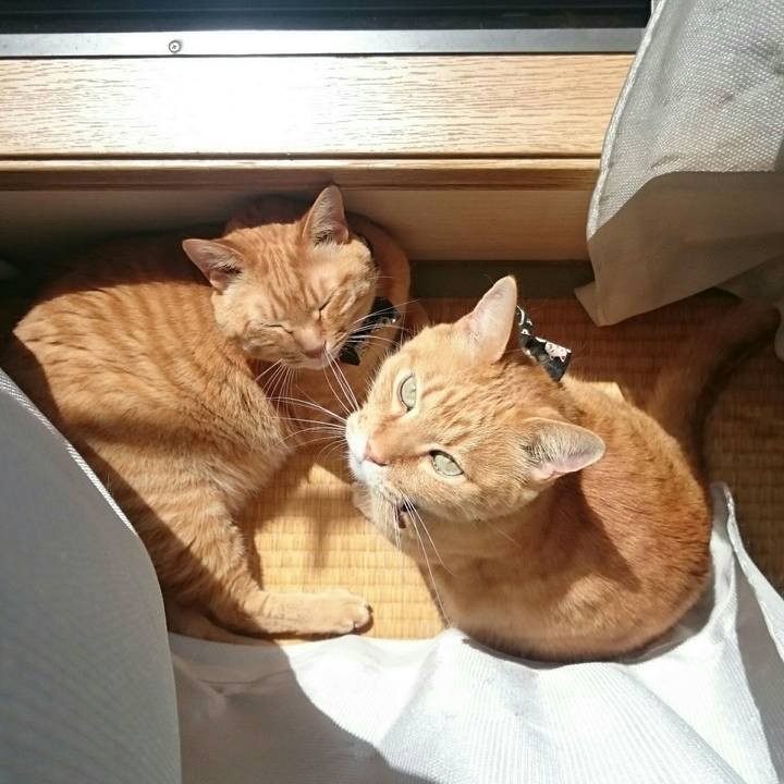 37ec13ad 7bb3 469a b78c 54bc82c8c01a 1524893077448