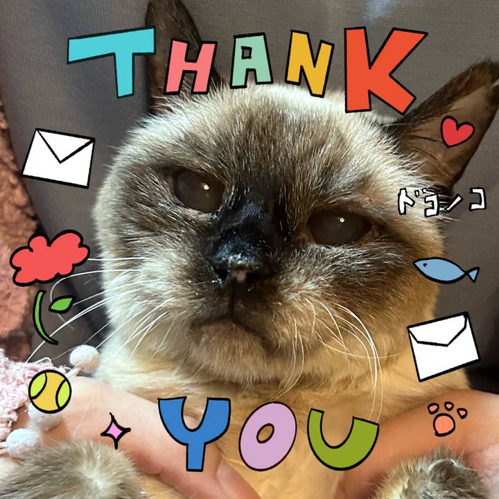 37ec1513 f4e0 424d 9869 8472a7087148 1715473009887