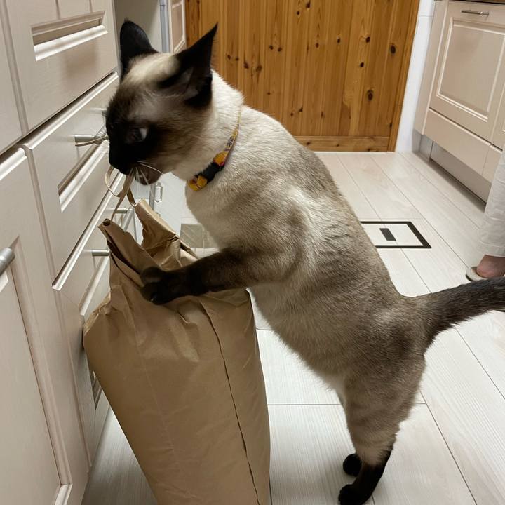 37ec305d e840 4966 84ba 24974d14af8b 1720209839039