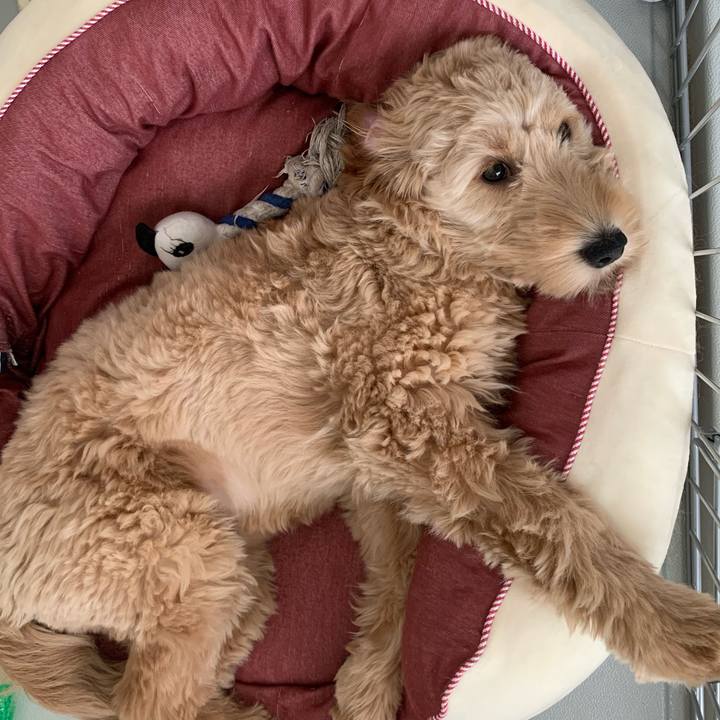 37ec3d06 1845 4cb6 b652 c7444aae1830 1682303093173