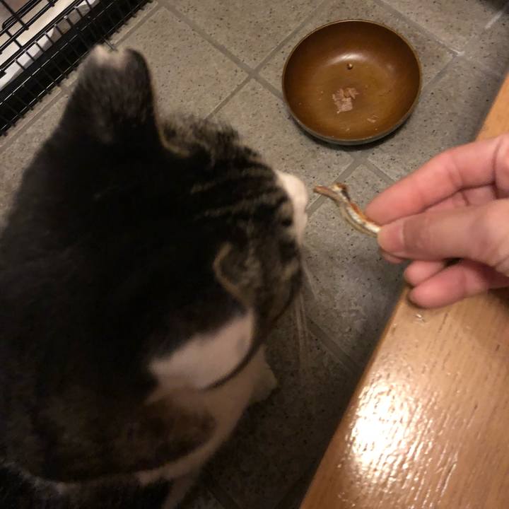 37ec645b 0b5a 4a77 898d 34810860d20c 1539341346308