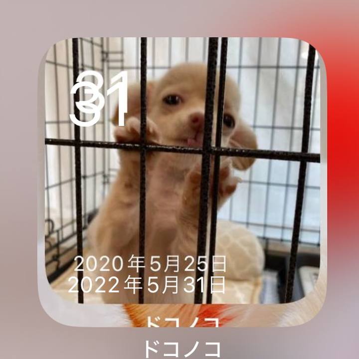 37ec9e96 6178 4f80 9b98 8642048b1506 1717147731837