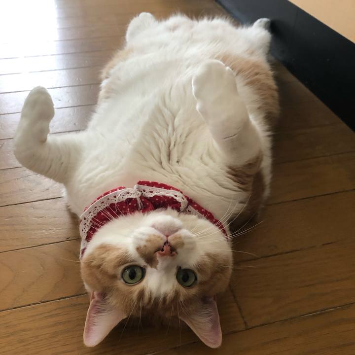 37ecc120 ceb9 46a5 b48b 5f4959c3a73e 1561163002521