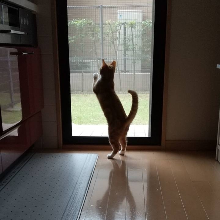 37ecc50b ab19 46b0 9039 8ca4665d5062 1624443052283