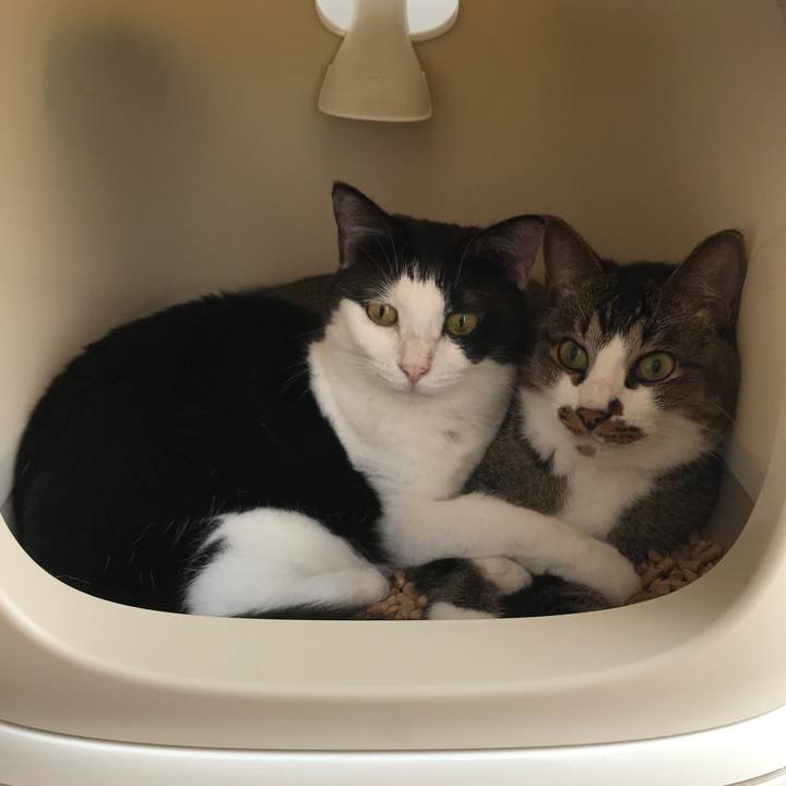 37ecef23 8d12 4ec9 ad8f 70188f0a6564 1564711418800