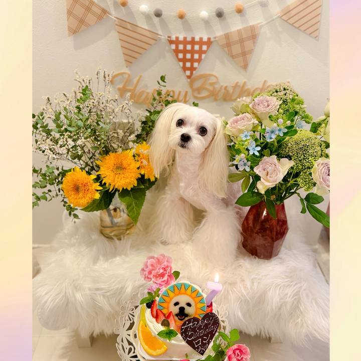 37ecff2d b1a8 4415 a71c 87ce08b51963 1724671643793