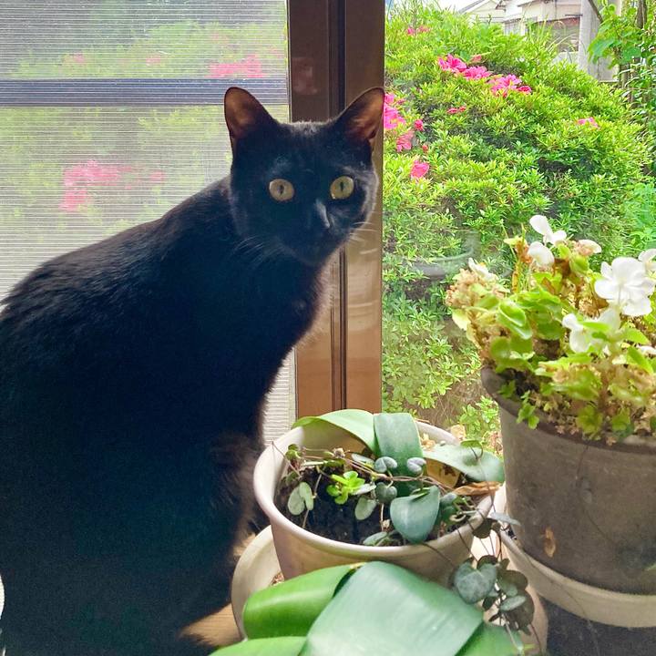 37ed1837 c4e8 42f9 ae64 b2fb9349bdf5 1654233199876