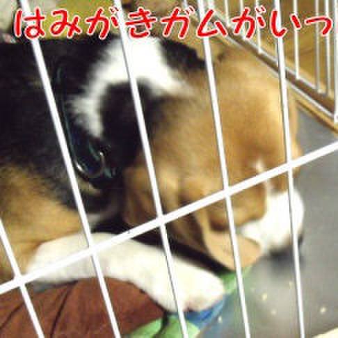 37ed5e8f 99f9 48d4 a4eb 6968fc83b46f 1688515614616