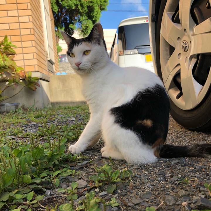 37ed79e0 e254 4c2a a91f c13d615bfeec 1601162045444