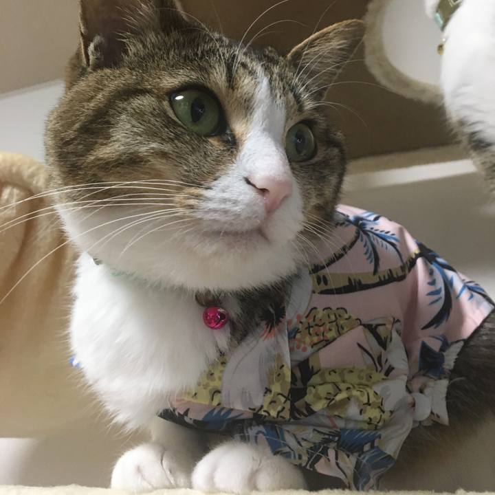 37ed8888 8b36 45fc a886 1a10b04e1308 1694527761963