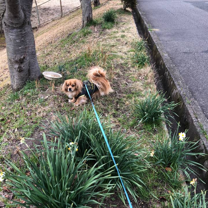 37eda2bc 21de 4e62 b8dd c64cf9c22086 1552179266040