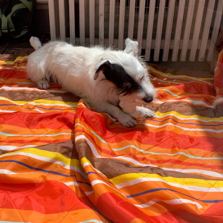 37edbd71 748a 4736 8733 5b75929d3a64 1654833340840