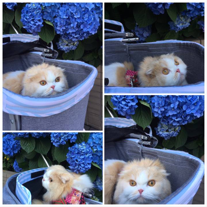 37ede82c 8277 4541 a485 143281d0751f 1560660209221