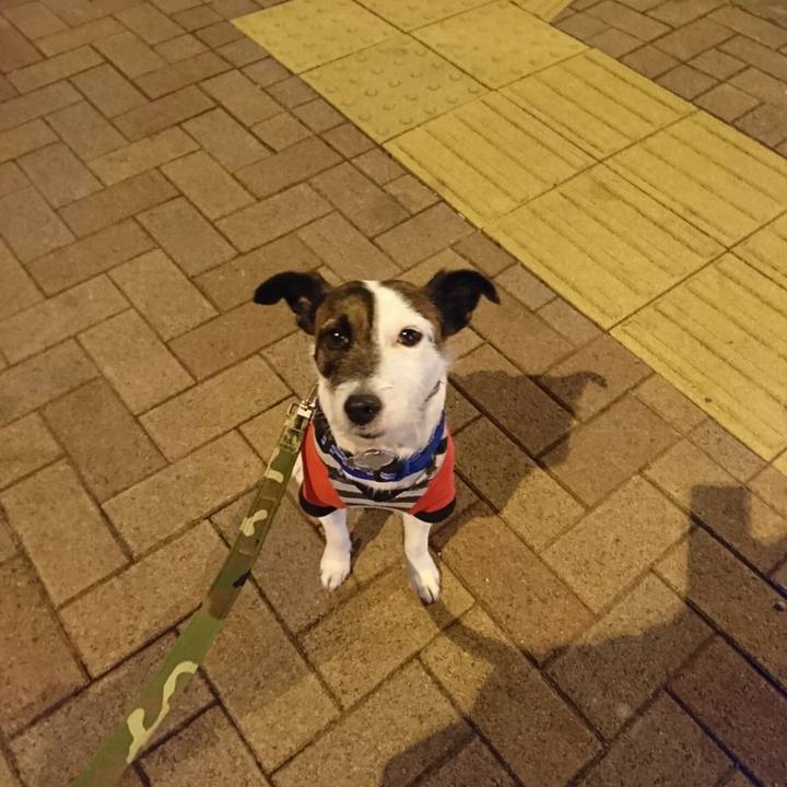 37edfcd7 2277 4ed3 8b1a dea00b0b1771 1520852697268