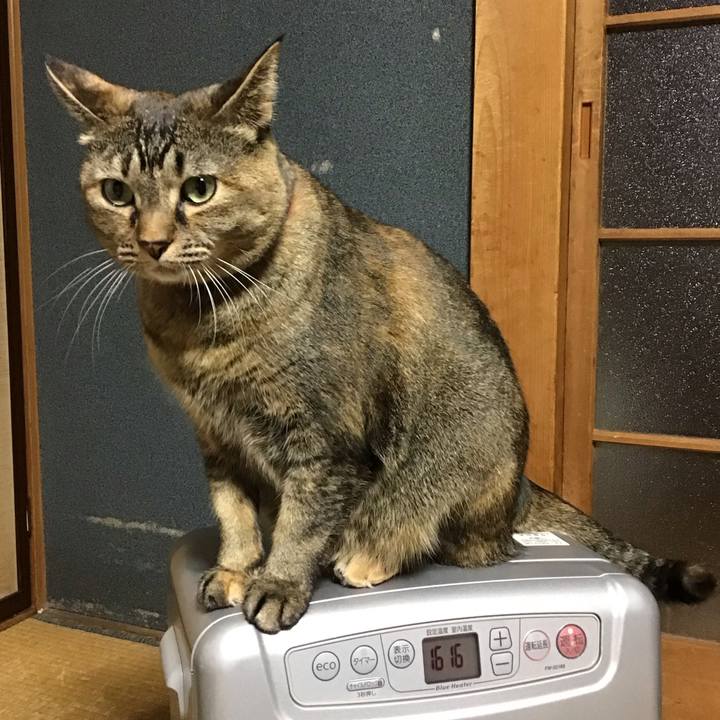 37ee0403 98ac 4798 9056 88aefd307f2f 1701941662289