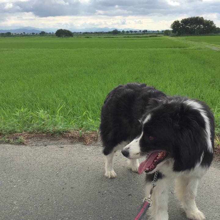 37ee056b 8d99 4df6 85dc 84a3e2422e35 1564534569757