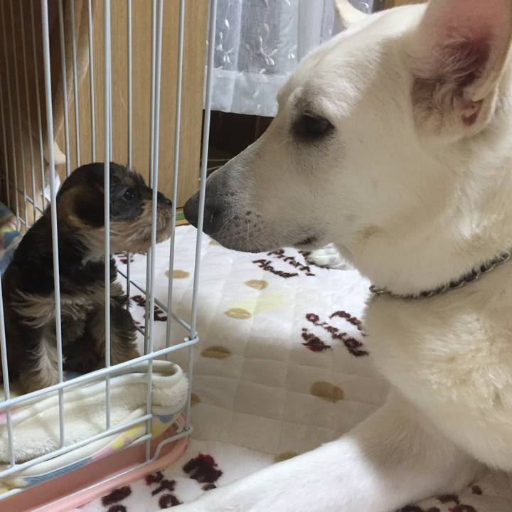 37ee3f51 2120 484e 9285 deec69619c9d 1564748498086