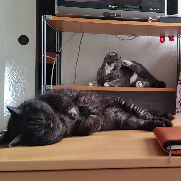 37ee4726 eb69 4f9a 8355 6f1752349195 1636848356172