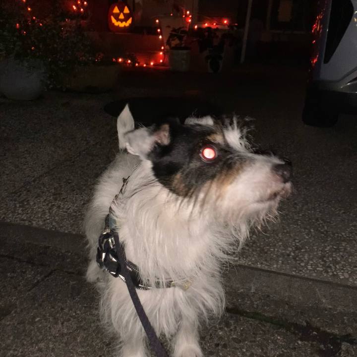 37ee4f0a 78a8 4fd8 b40e 845ba0c5f514 1696940731462