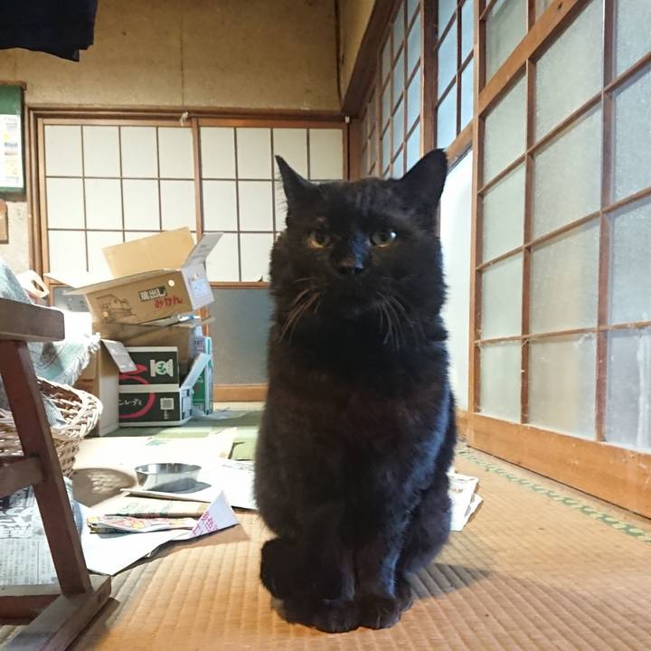 37ee9800 3c1e 41c9 b365 d57e786366a5 1617787214998