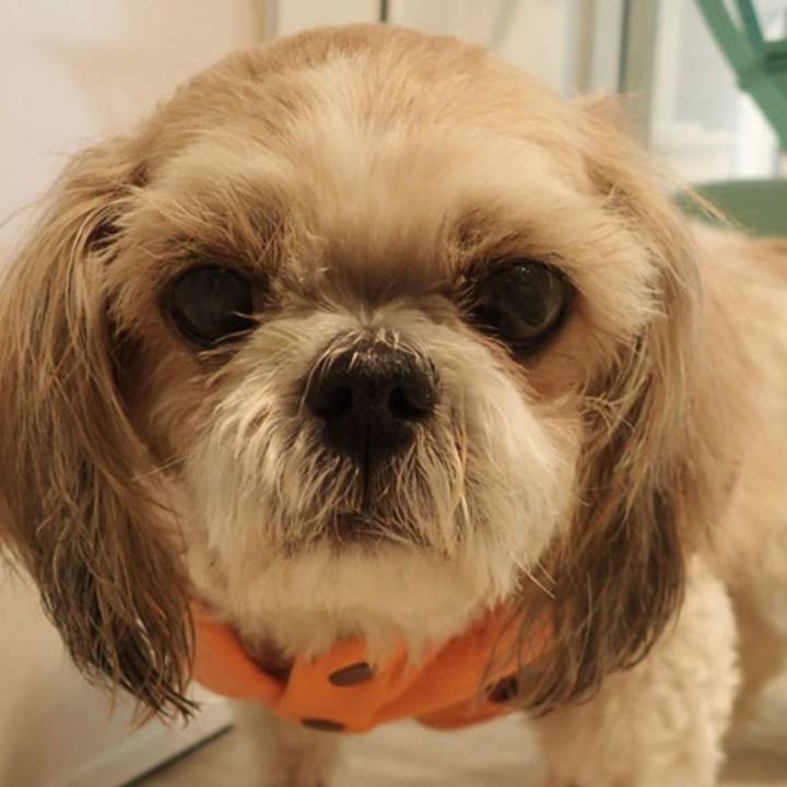 37eeb8e4 856e 4d2e a1fb 47862c7dfbba 1555993508227