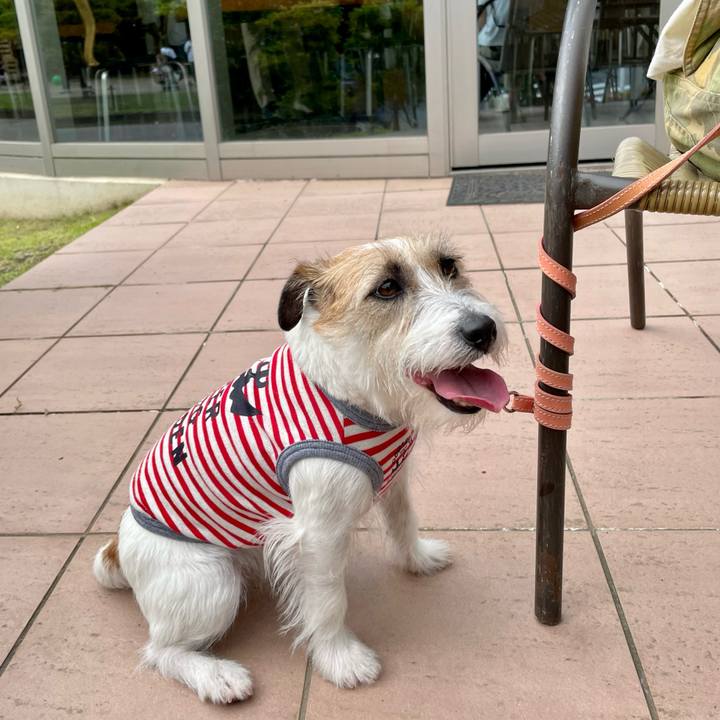 37eecb54 e5cf 4176 a446 4d31590f19fc 1684678038377