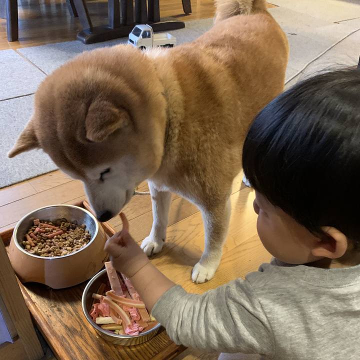 37eee1ed 146e 41e8 8c21 ef7ebbf5d4f9 1618551160053