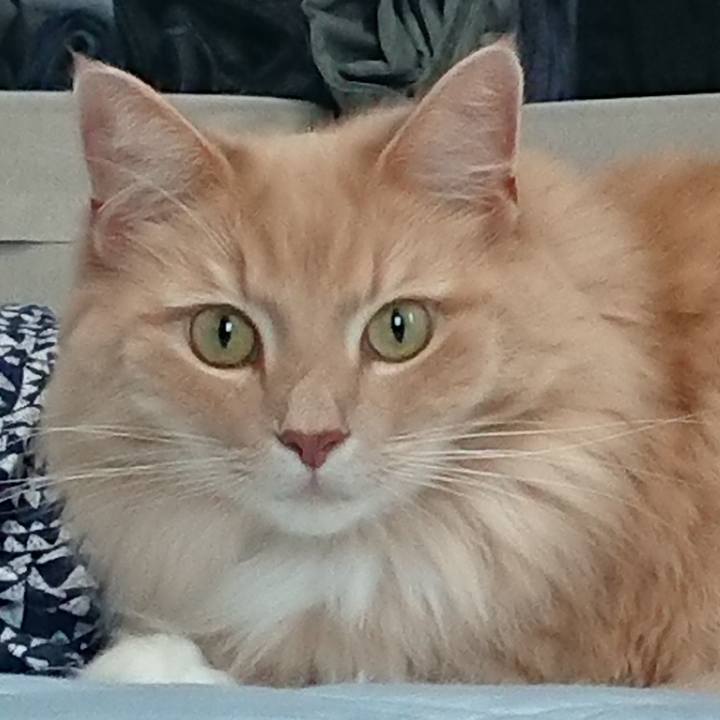 37ef0386 a4fc 4fde 9e64 fd6d6ac3b6d9 1531103890378