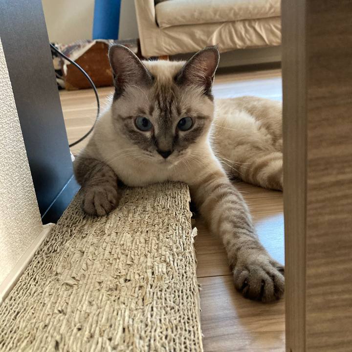 37ef2595 9697 4fd2 8baa f037ed26fce2 1599266001529