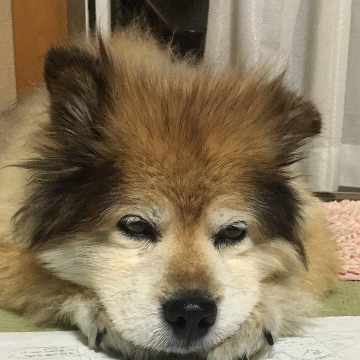 37ef2cc8 82cd 4034 ab8a 82700a0c45fa 1552732297722