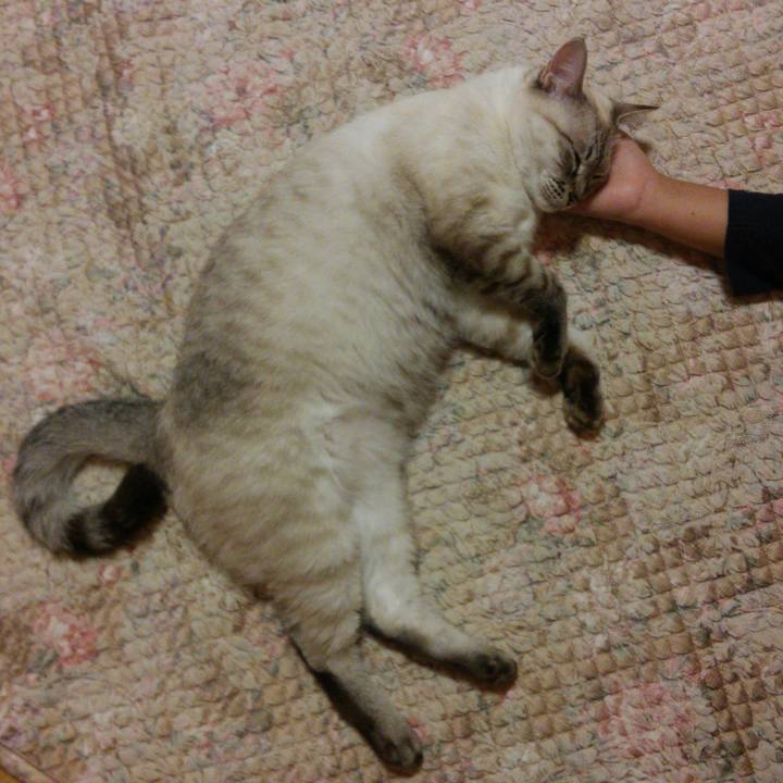 37ef637b ab41 480c b3d8 1a105a633aa6 1508506013455