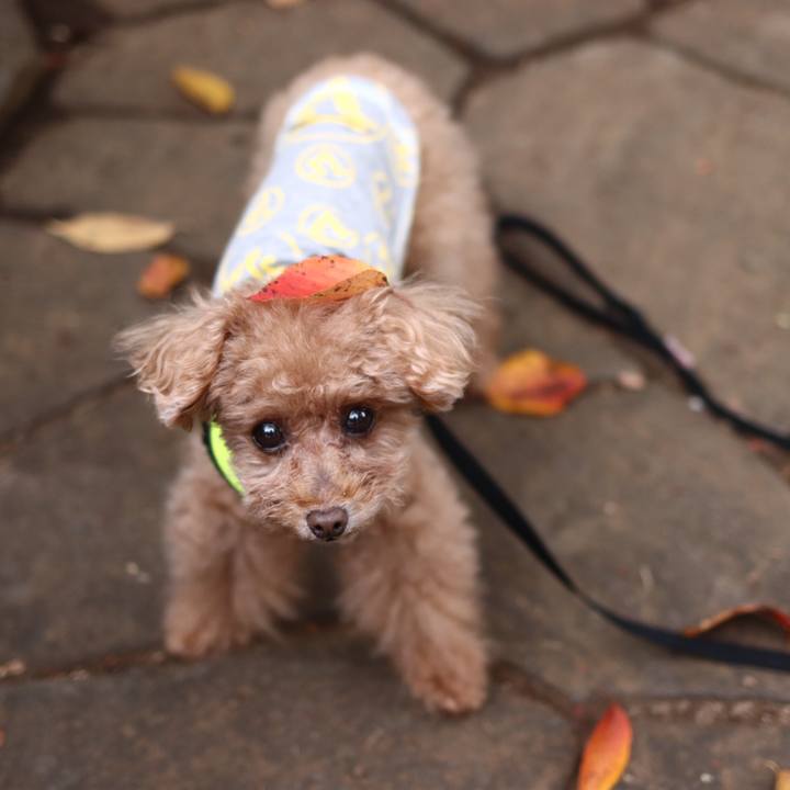 37efc3b1 dfa8 4fb7 a7a0 cf5231e786e4 1606226155124