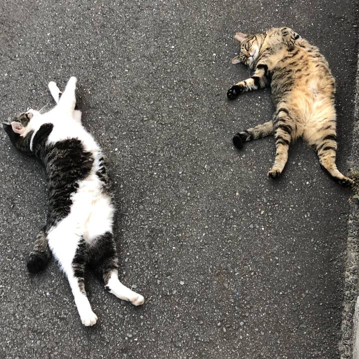 37efc721 5fb5 4468 a561 186b34cf1556 1570018223981