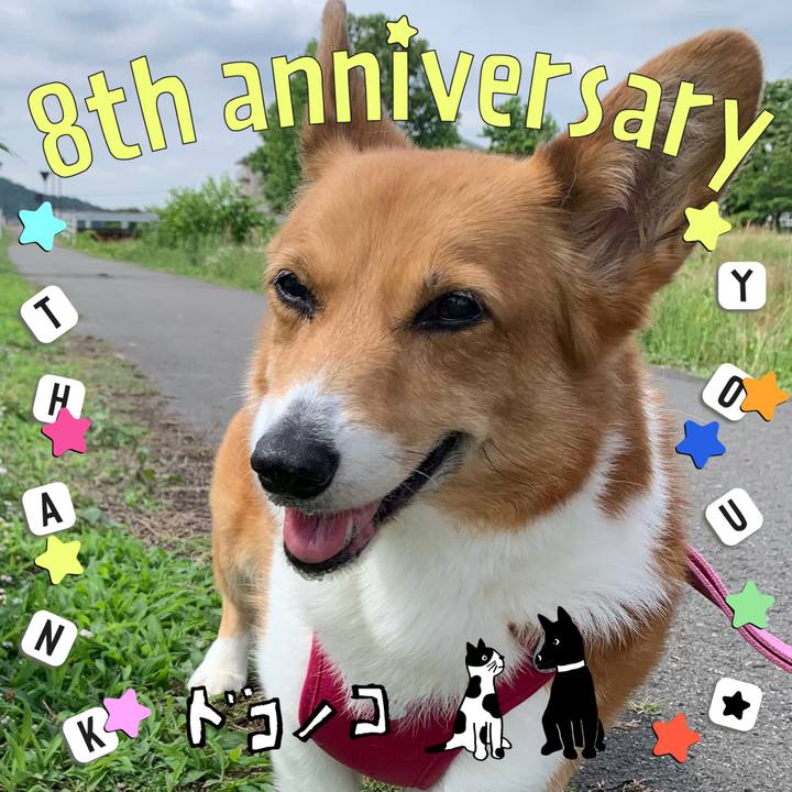 37efe3a2 8d9b 4287 8fa0 4a8369eaeacd 1717638014590