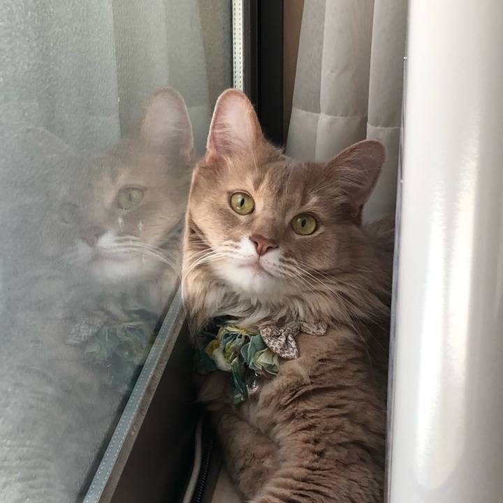 37f03e74 94e6 4f0d a67d 768458e51ce1 1683183137339