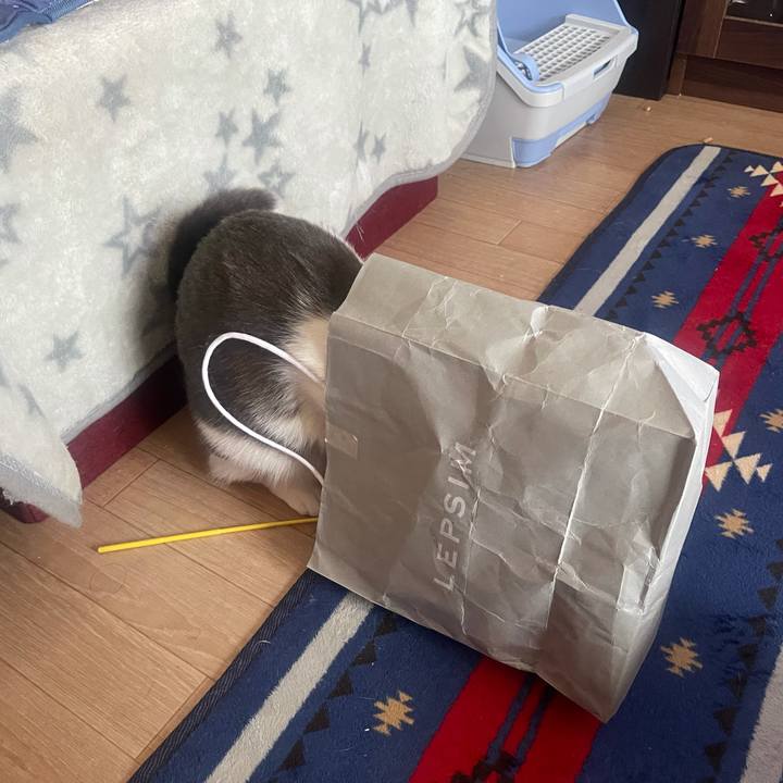 37f08d7e 9c8a 4180 8f19 45b4c2541750 1628229011263