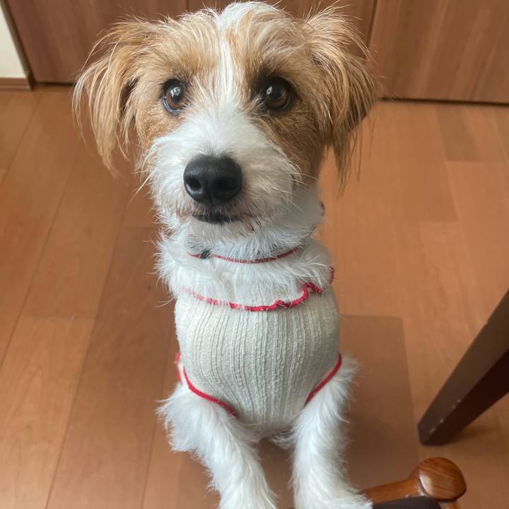 37f0b270 090a 4b23 9cb9 75269f17c437 1766484086893