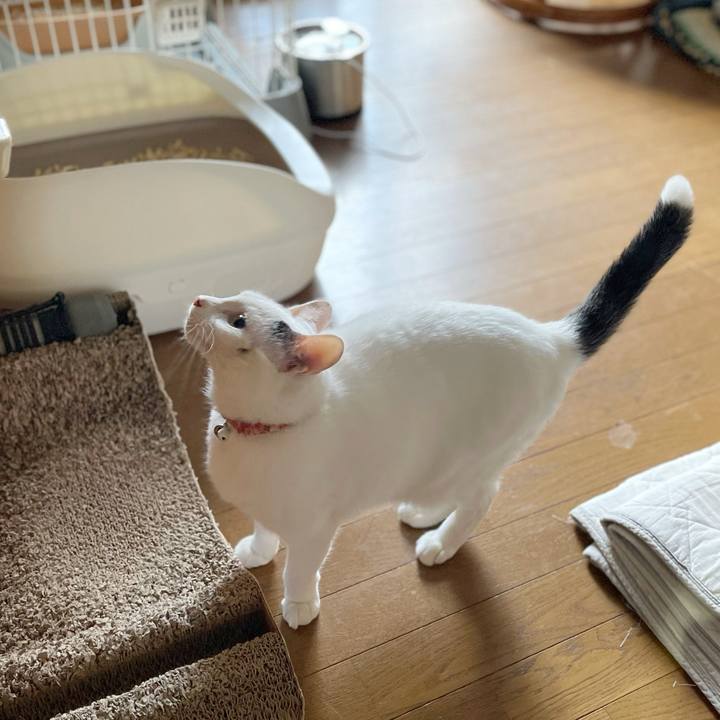 37f0b790 6b40 4834 bf1f e74f1b459ee7 1764543416201