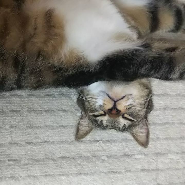 37f0b997 6e4d 40dd 87e0 aa29914f0f31 1608909365364