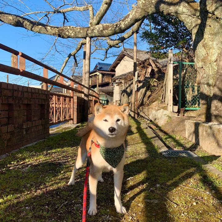 37f0beaa a49e 43b4 9889 85b9205c7200 1676635420954