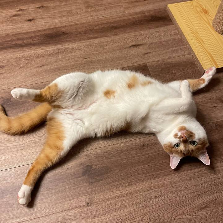 37f0f0c1 b661 46b7 ac17 2483baa82493 1684408187214