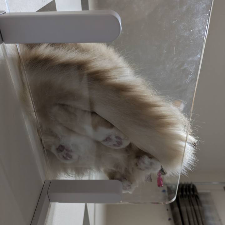 37f149af be48 4e4f 9091 310afd2f8525 1763883911103