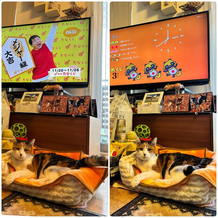 37f15a94 3b53 461f 897c bad10842e698 1700431753080