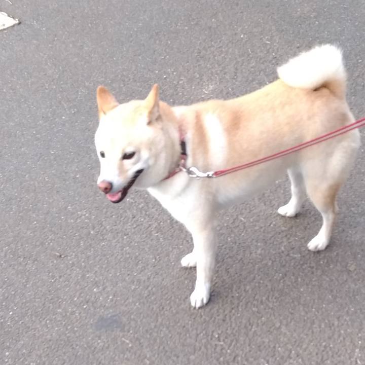 37f1683e 2ebf 4306 b98b a26708b50452 1603842813479