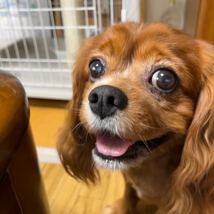 37f17f9c 4d87 4c34 aada 01934641c5ab 1658701434536