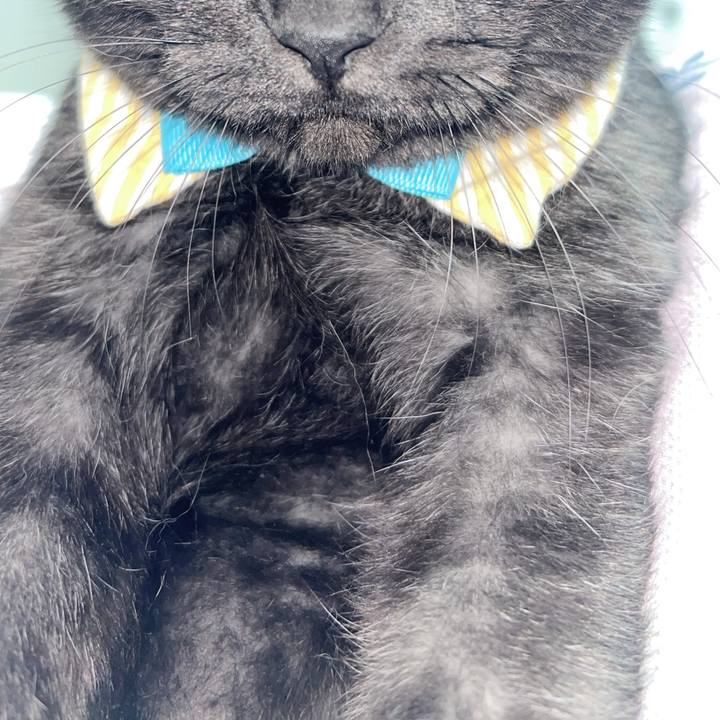 37f18138 5836 4482 bb89 56aa4dbcff51 1759257899697