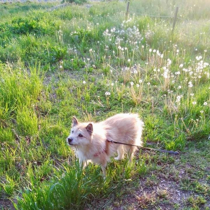 37f18f21 d961 48b6 bcd3 97665fa88284 1586229030472