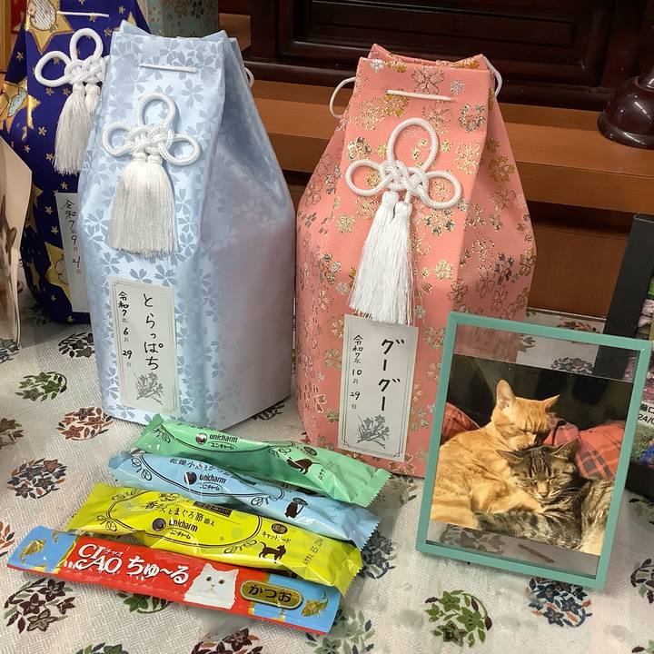 37f1974a 1f39 4a7f 8530 18cd51a0acf7 1761724796842