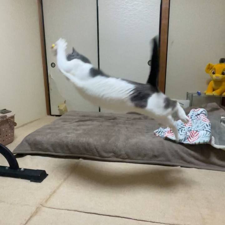 37f19cd9 380d 4ac5 b4f2 3c466dd8f3f9 1676633871057